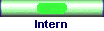 Intern