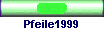 Pfeile1999