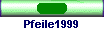 Pfeile1999